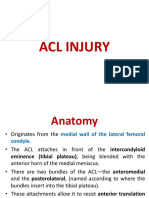 ACL Injury Rehabilitation and Recovery Guide