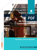 Manual Gestión Controles Críticos - V12 PDF