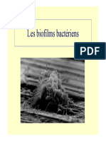 Biofilm PDF