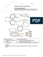 Activity 1 Modeling Bacteria Transformation Worksheet