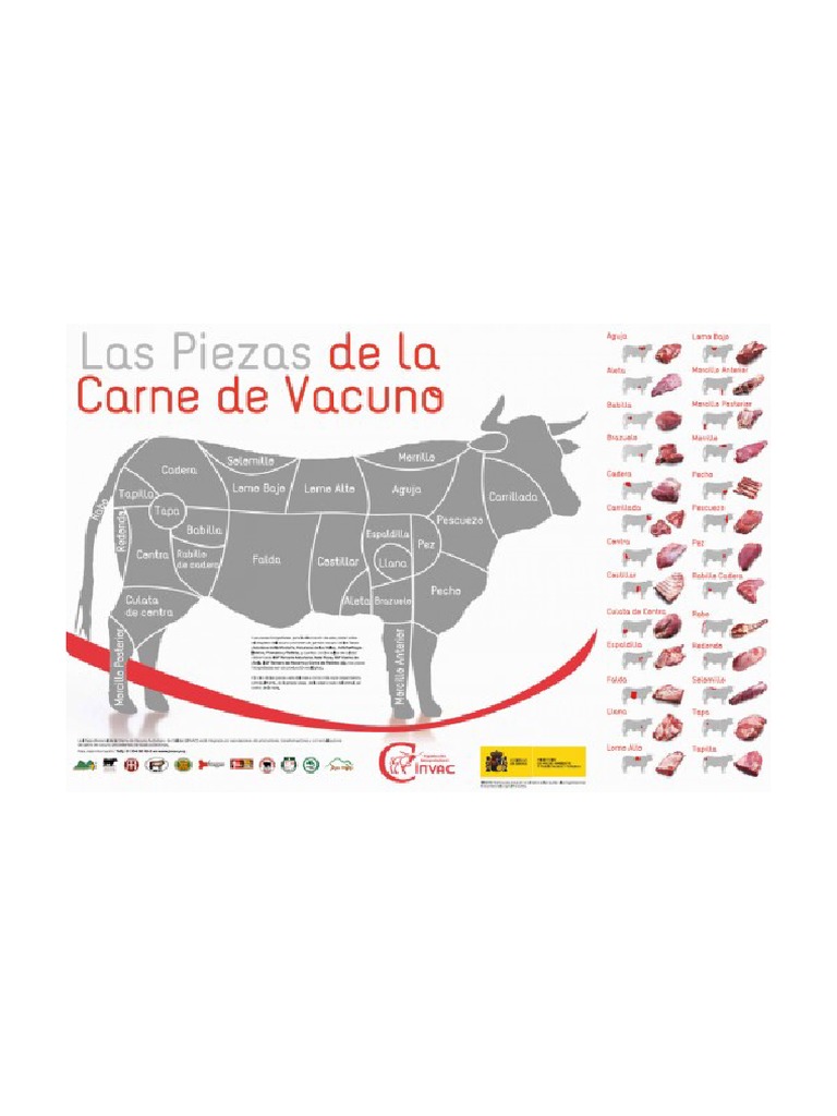 despiece-y-recetas-del-vacuno-pdf-cocina-comidas-y-vino-salud-y
