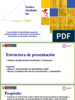 1 PPT CVA