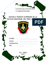 Caratula PNP Ica 2 PDF Free