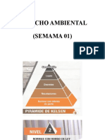 DERECHO AMBIENTAL Semana 01