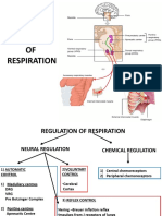 Regulation of Respiration Centers and Reflex Control