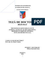 Proteine Si Gene Implicate in Strestul Oxidativ Si Metabolismul Sistemului Nervos Central Dupa Ischemie Focala