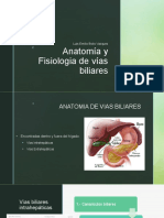 Anatomia y Fisiologia de Vias Biliares