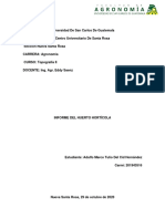 Informe de Acelga PDF