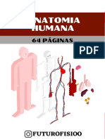 Anato PDF