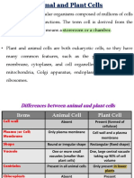 Pharmacognosy L02