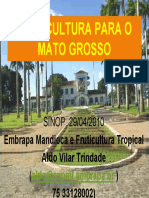 Palestras5 PDF