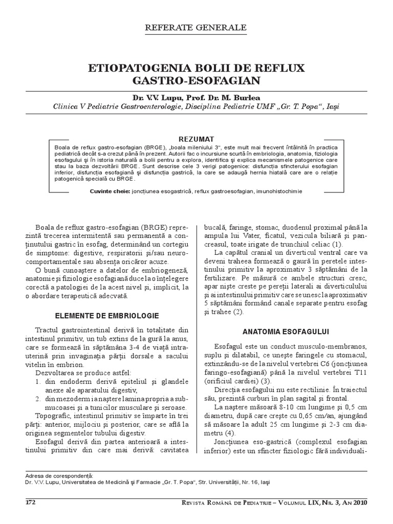 BRGE | PDF