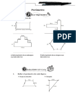 Perímetro PDF