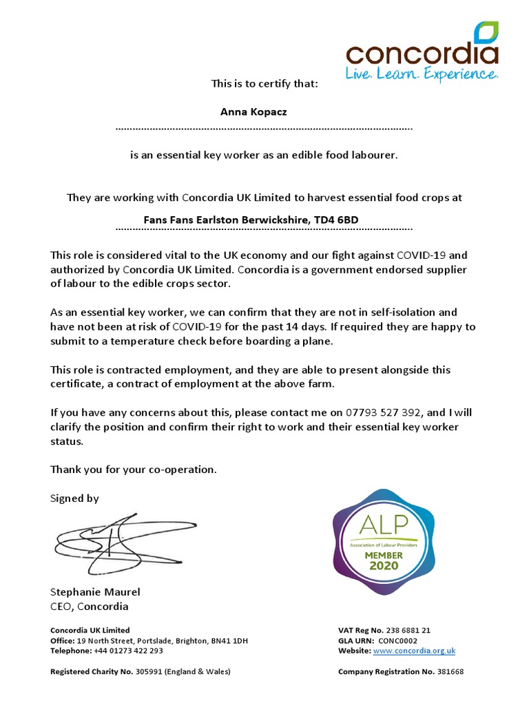 ESSENZIALE WORKER Adesivo 155mm Virus Charity Support 15 - Foto 5