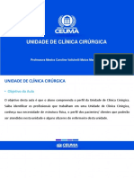 Assunto 2 Unidade de Clínica Cirúrgica