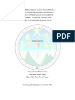 Instrumentos Grupo 4 Visionarias PDF