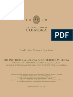 Relatório de Estágio Cristina Figueiredo 2019 MEBG PDF
