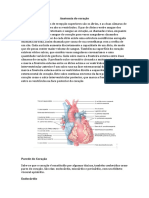 Anatomia do Coração