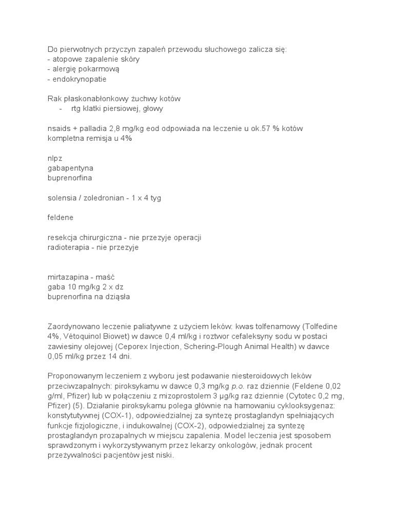 Ucho | PDF