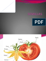Semillas PDF