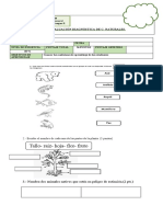 Diagnostico de Ciencias Naturales 2023