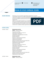 CVViridianade Jesús Carbajal Ocaña