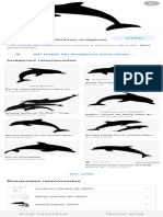 Siluetas de Delfines - Buscar Con Google PDF