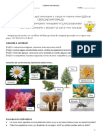 Guía 1 Ciencias Naturales PDF