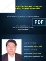 Leflet AKI Dan CKD PDF