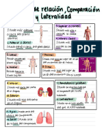 Términos de Relación, Comparación y Lateralidad de Anatomía