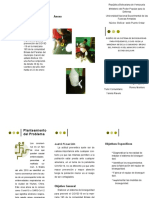 Imprimir Triptico PDF