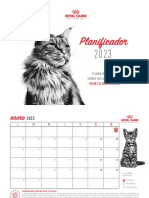 PlanificadorRCMesDelGato PDF