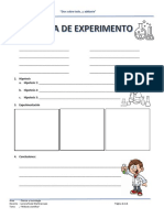 Expermiento PDF