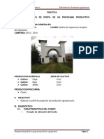 PRACTICA-ULTIMA-ADMINISTRACION-IMPRIMIR.pdf