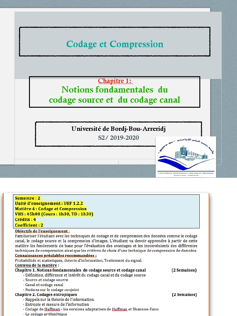 Techniques de Codage et Compression | PDF