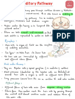 Auditory Pathway PDF