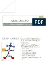 Asam Amino