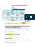 Cap 38 Bacterias Gramnegativas Anaerobias