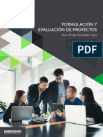 Formulacio y Evaluacion de Proyectos