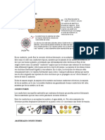 Conductores y Aislantes