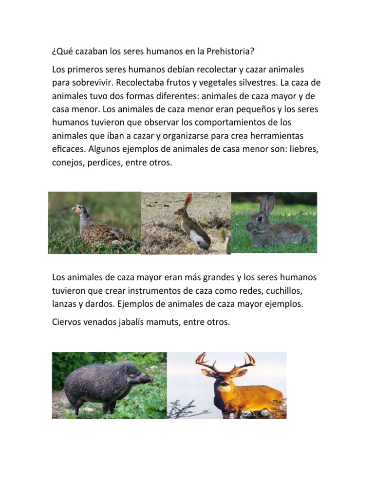 La caza en la prehistoria: animales y técnicas | PDF
