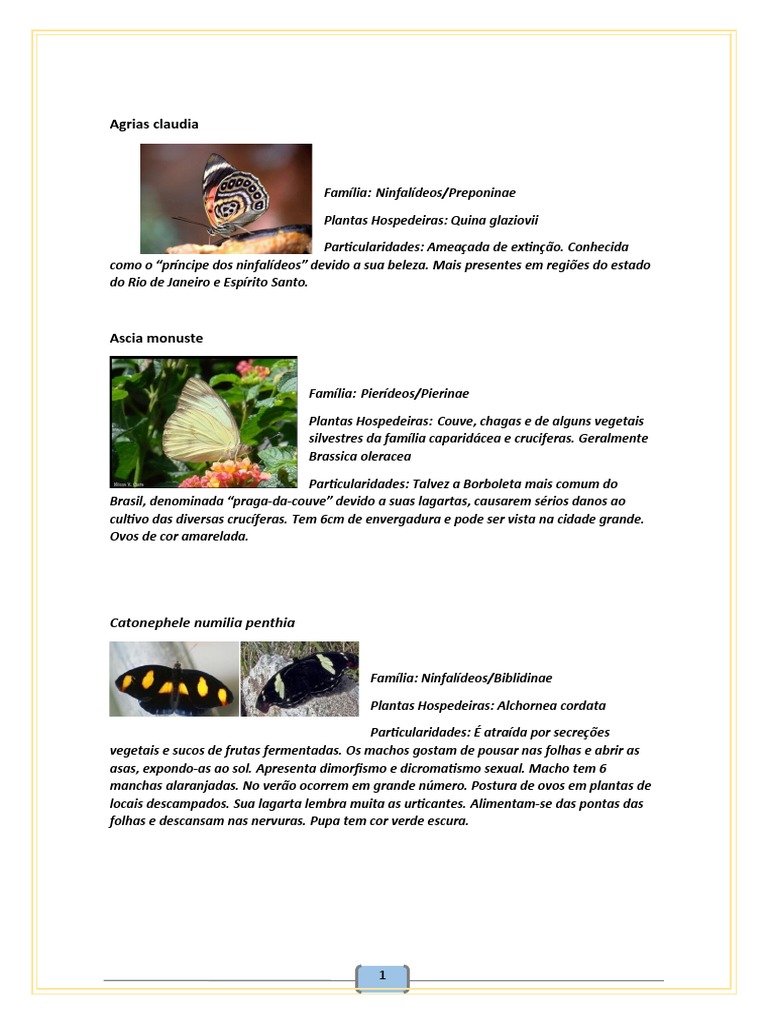 Guia de Identificação de Insetos | PDF | Mimetismo