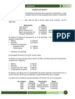 Auditoría Del Efectivo