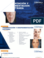 Pigmentación y Despigmentación Cutanea