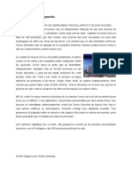 Crónica de Las Torres Gemelas PDF