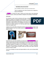 Clase 1 - Oclusión - Semiología Cráneo Cérvico Facial