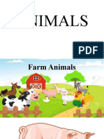 Animals.pptx