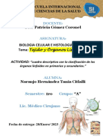 Act_Organos linfoides_Citlalli Naranjo_1A