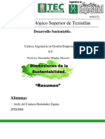 Dimenciones de La Sustentabilidad Resumen