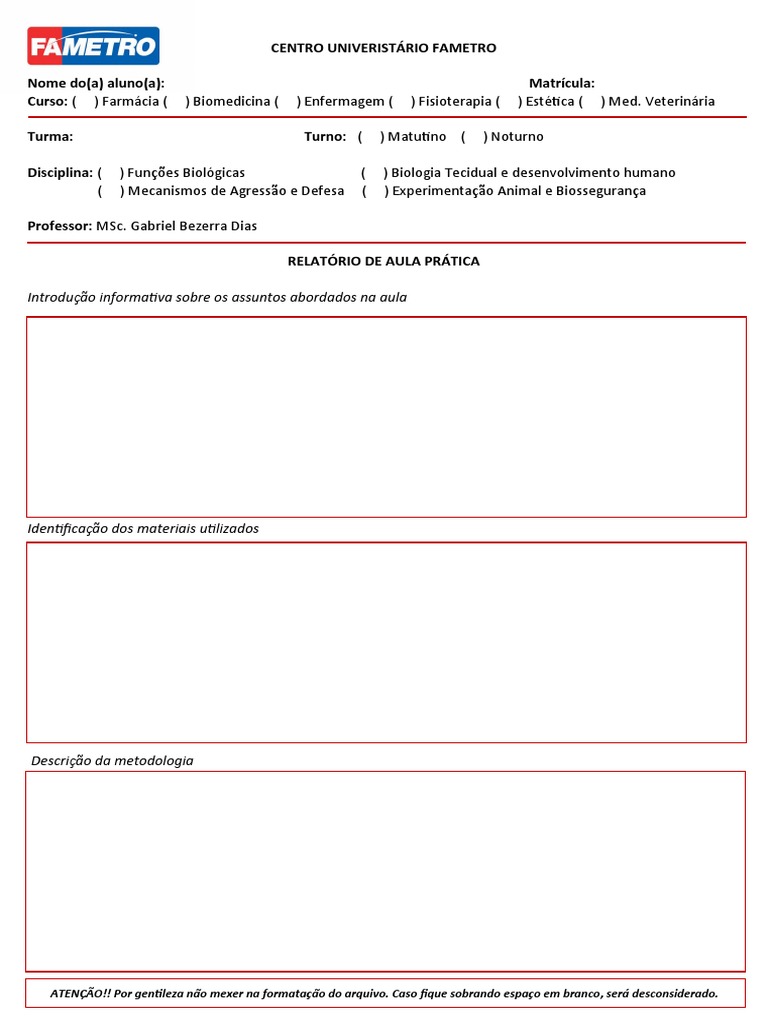 Modelo de Relatório de Aula Prática 2 | PDF